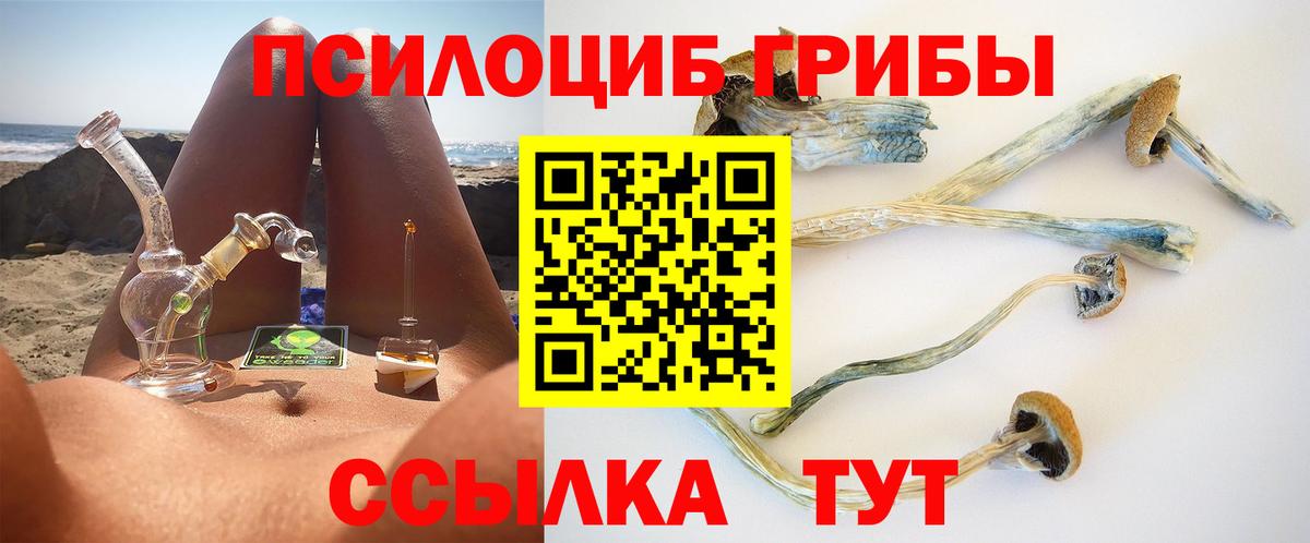 Псилоцибиновые грибы Psilocybine cubensis Юрга