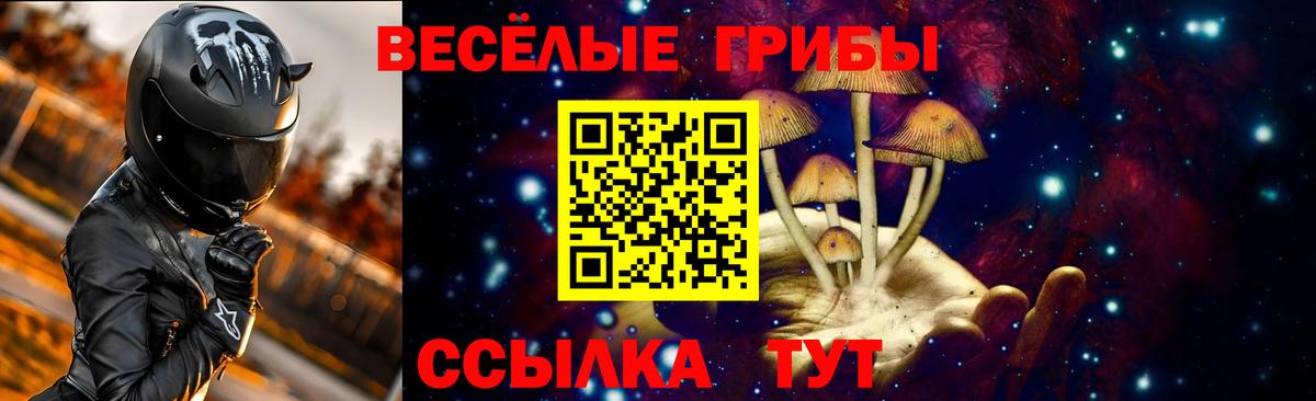 Галлюциногенные грибы прущие грибы  Вход с VPN  Юрга 